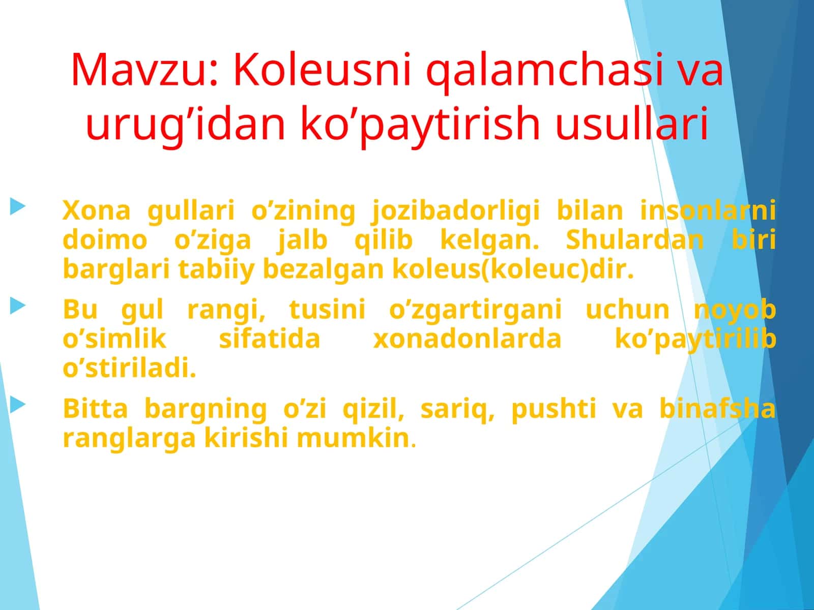 Koleusni qalamchasi va urug’idan ko’paytirish usullari 1