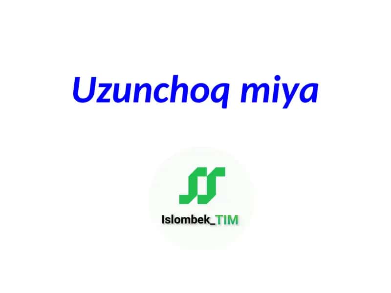 Uzunchoq miya 1