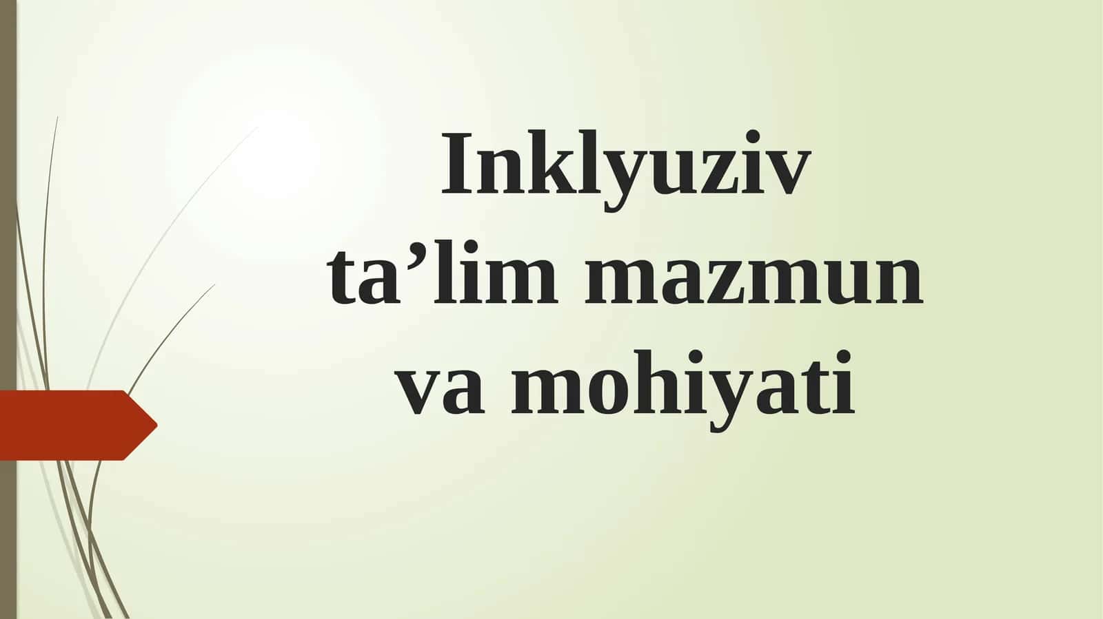 Inklyuzivta’lim 1