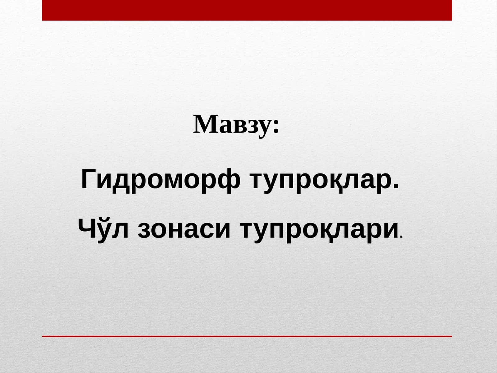 Гидроморф тупроқлар. Чўл зонаси тупроқлари 1