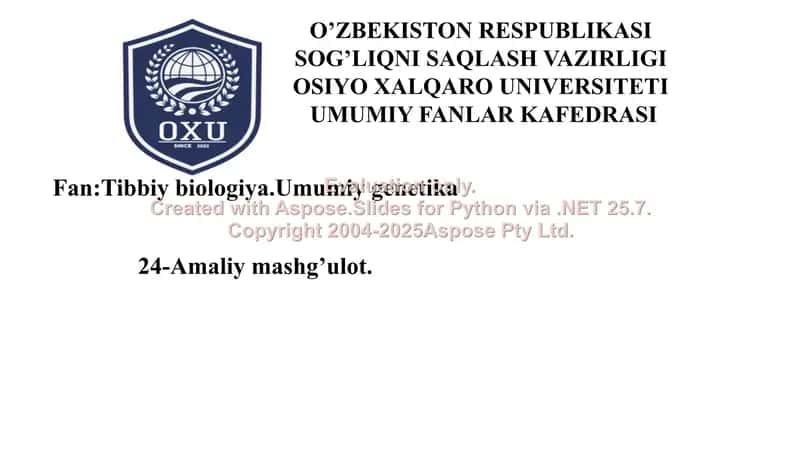 Xivchinlilar haqida qisqacha malumot 1