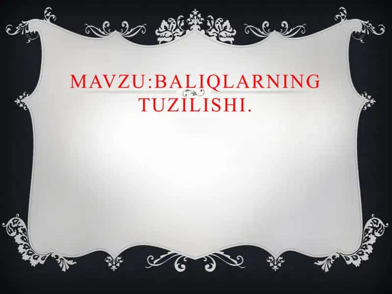Baliqlarning tuzilishi 1
