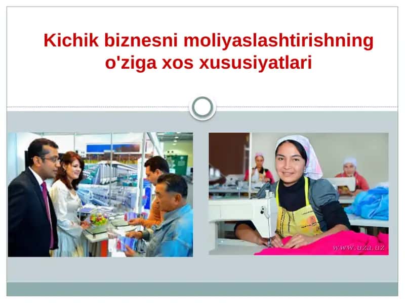 Kichik biznesni moliyalashtirishning o'ziga xos xususiyatlari 1