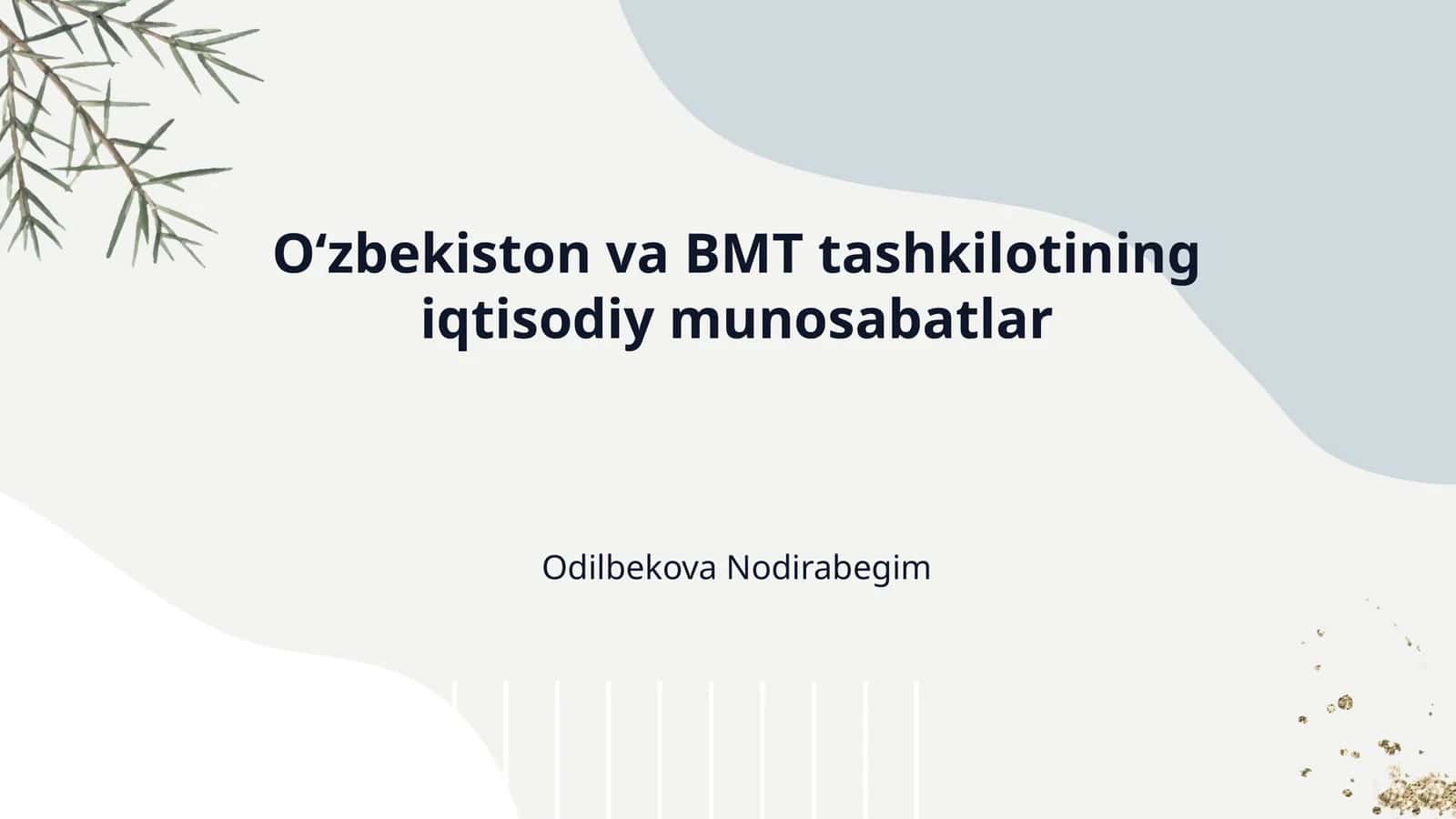 O‘zbekiston va BMT tashkilotining iqtisodiy munosabatlar 1