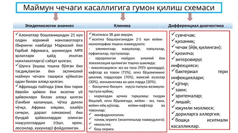 Маймун чечаги касаллигига гумон қилиш схемаси 1