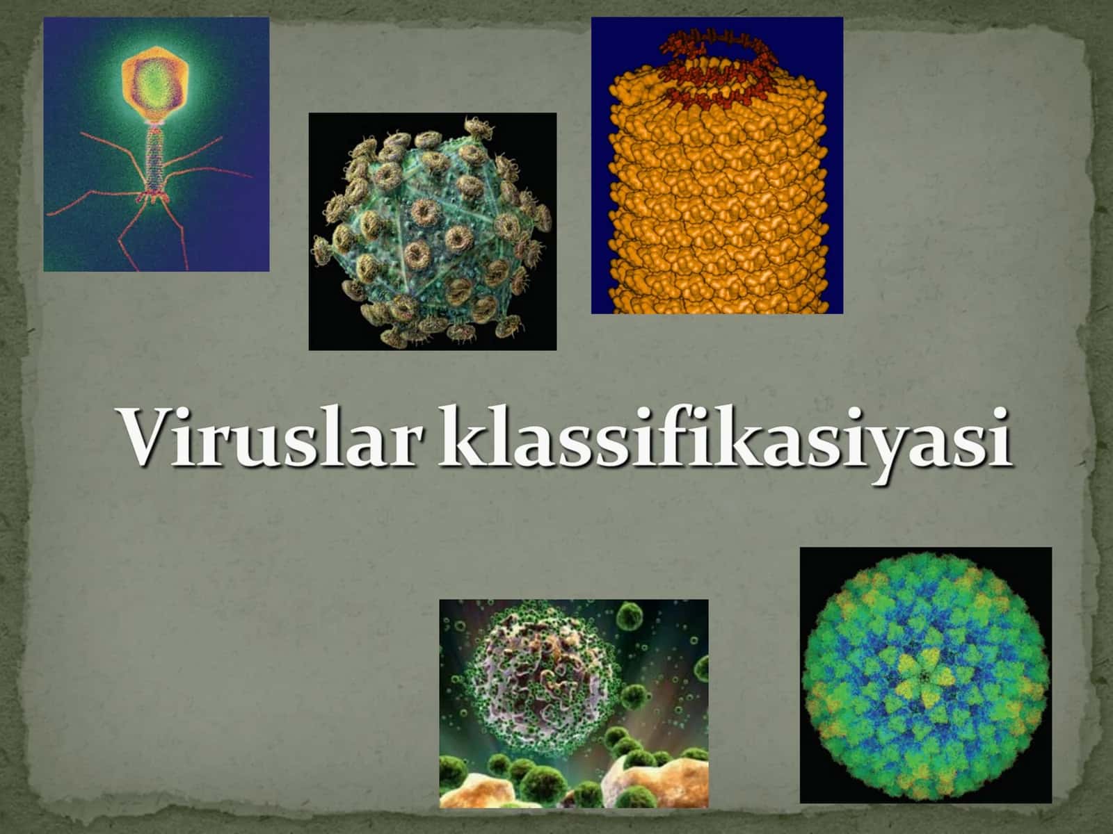 Viruslarning molekulyar biologik xususiyatlari 1