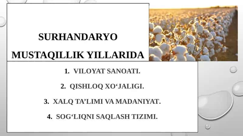 Sovet davridan keyingi yillarida Surxondaryo viloyati sanoati 1