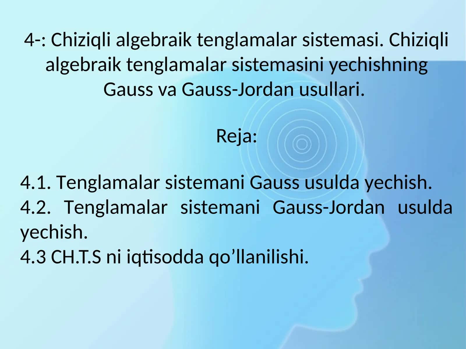 Chiziqli algebraik tenglamalar sistemasi 1