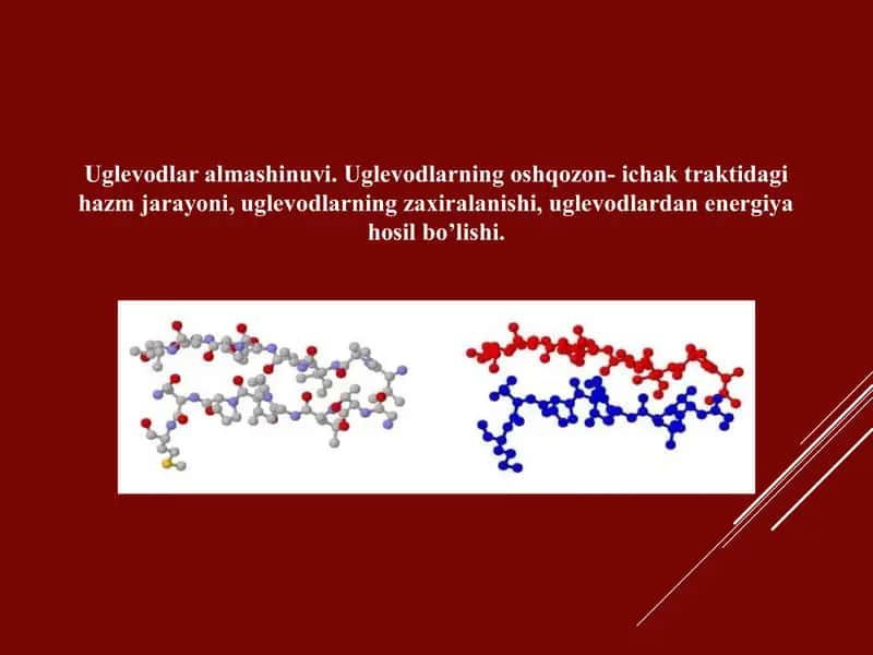 Uglevodlar almashinuvi. Uglevodlarning oshqozon- ichak traktidagi hazm jarayoni, uglevodlarning zaxiralanishi, uglevodlardan energiya hosil bo’lishi. 1