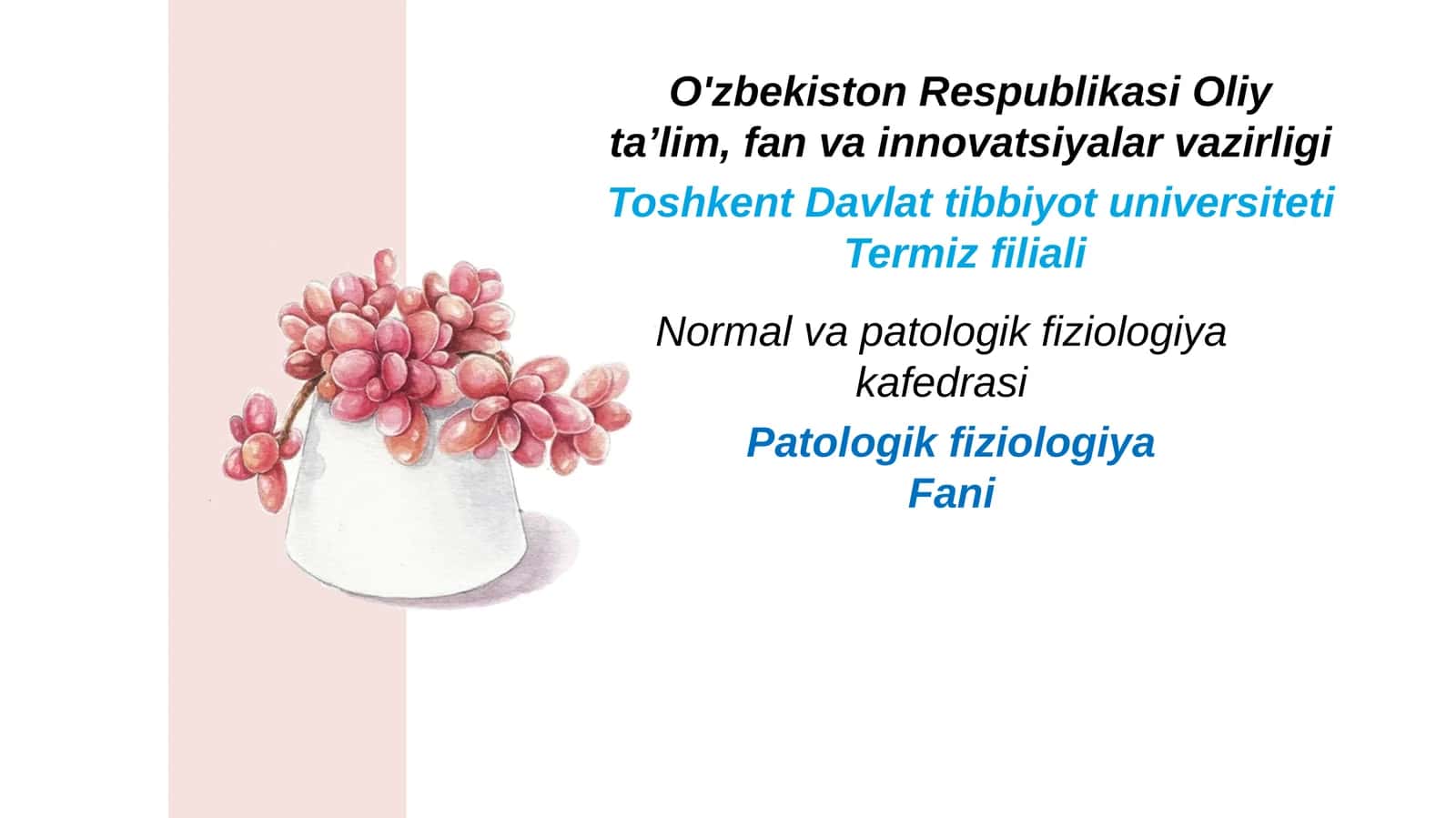 Mutlaq va nisbiy toj tomir yetishmovchiligi. Yurak ishemik kasalligi, uning shakllari, sabablari va rivojlanish mexanizlari 1
