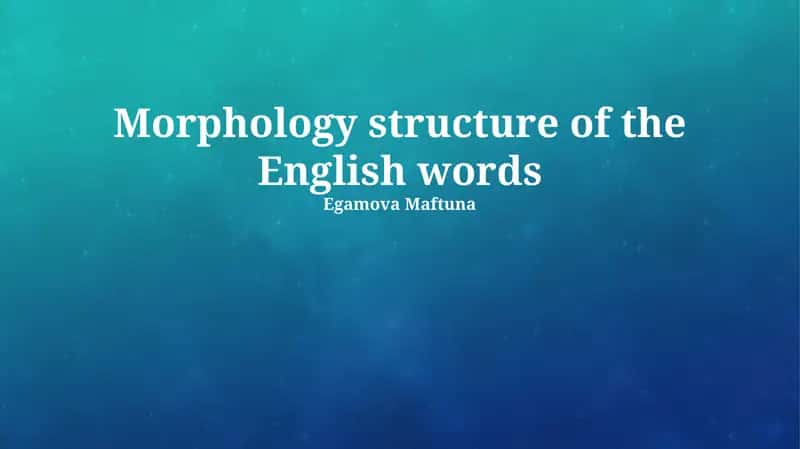 Morphology structure of the English words 1