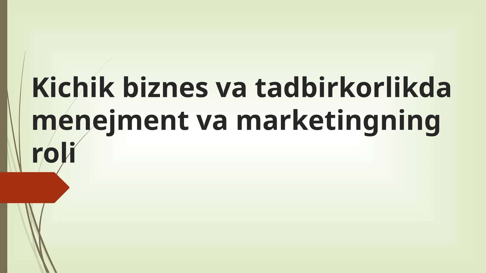 Kichik biznes va tadbirkorlikda menejment va marketingning roli 1