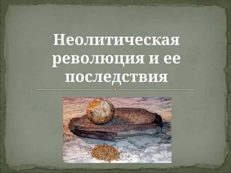 Неолитическая революция и ее последствия 1