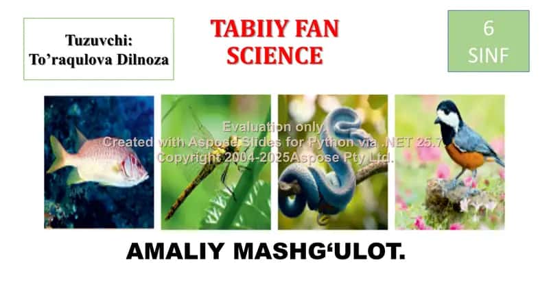 Hayvonlar Sistematikasini O‘rganish 1