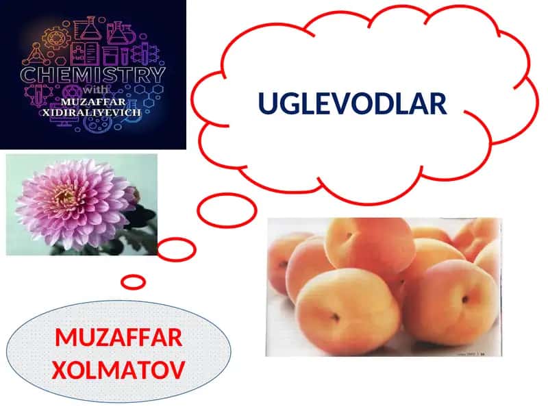 Glikozidlar 1