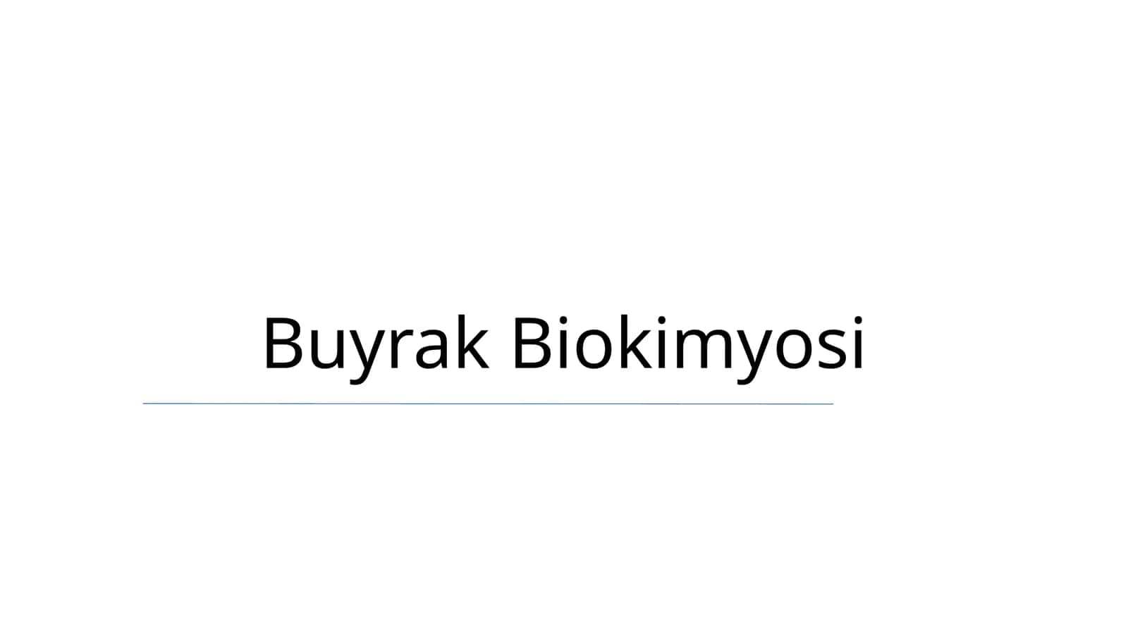 Buyrak Biokimyosi 1
