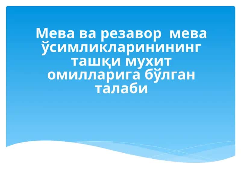 Ёруғлик 1