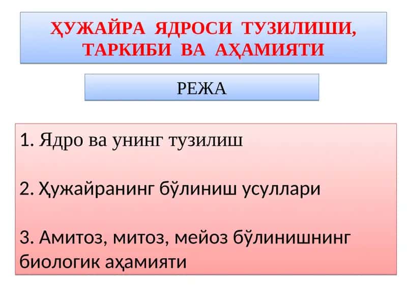 Ядро ва унинг тузилиши 1