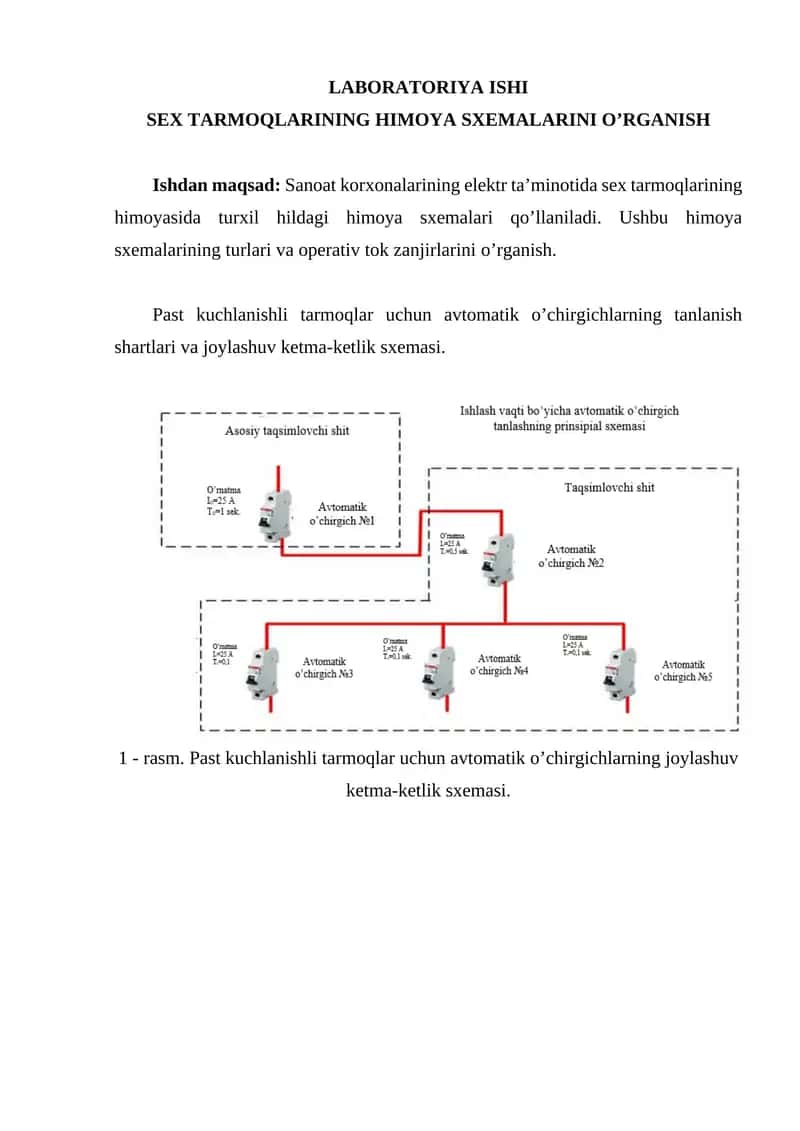 SEX TARMOQLARINING HIMOYA SXEMALARINI OʼRGANISH 1