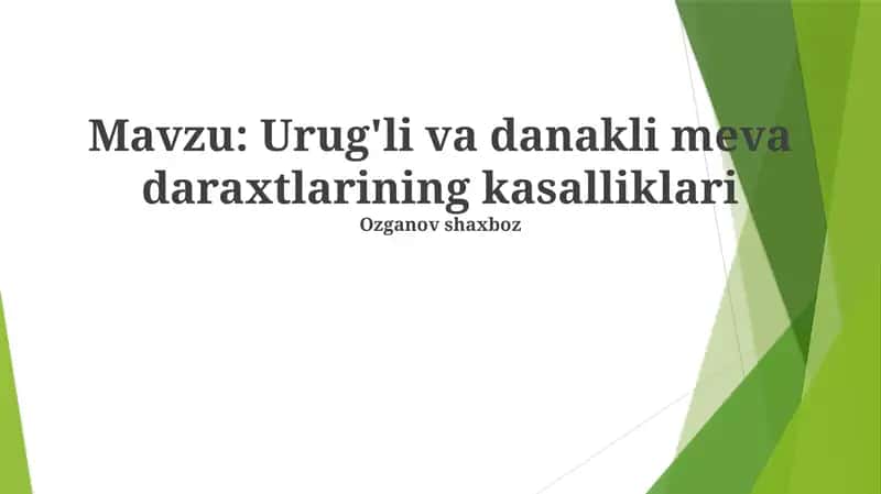 Urug'li va danakli meva daraxtlarining kasalliklari 1