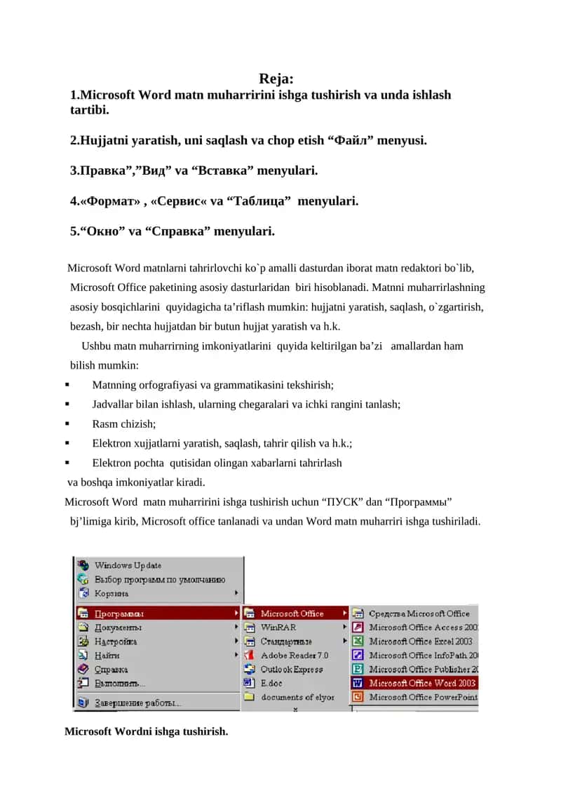 Microsoft Word matn muharririning asosiy imkoniyatlari 1