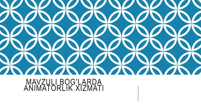 Mavzuli bog’larda animatorlik xizmati 1