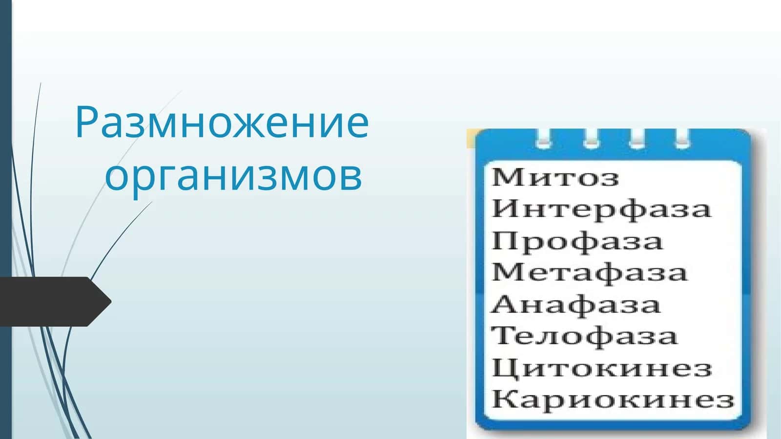 Методические указания по биологии 1