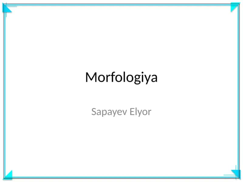 Morfologiya 1