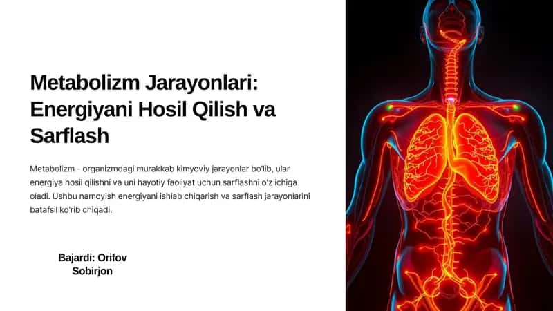 Metabolizm Jarayonlari: Energiyani Hosil Qilish va Sarflash 1