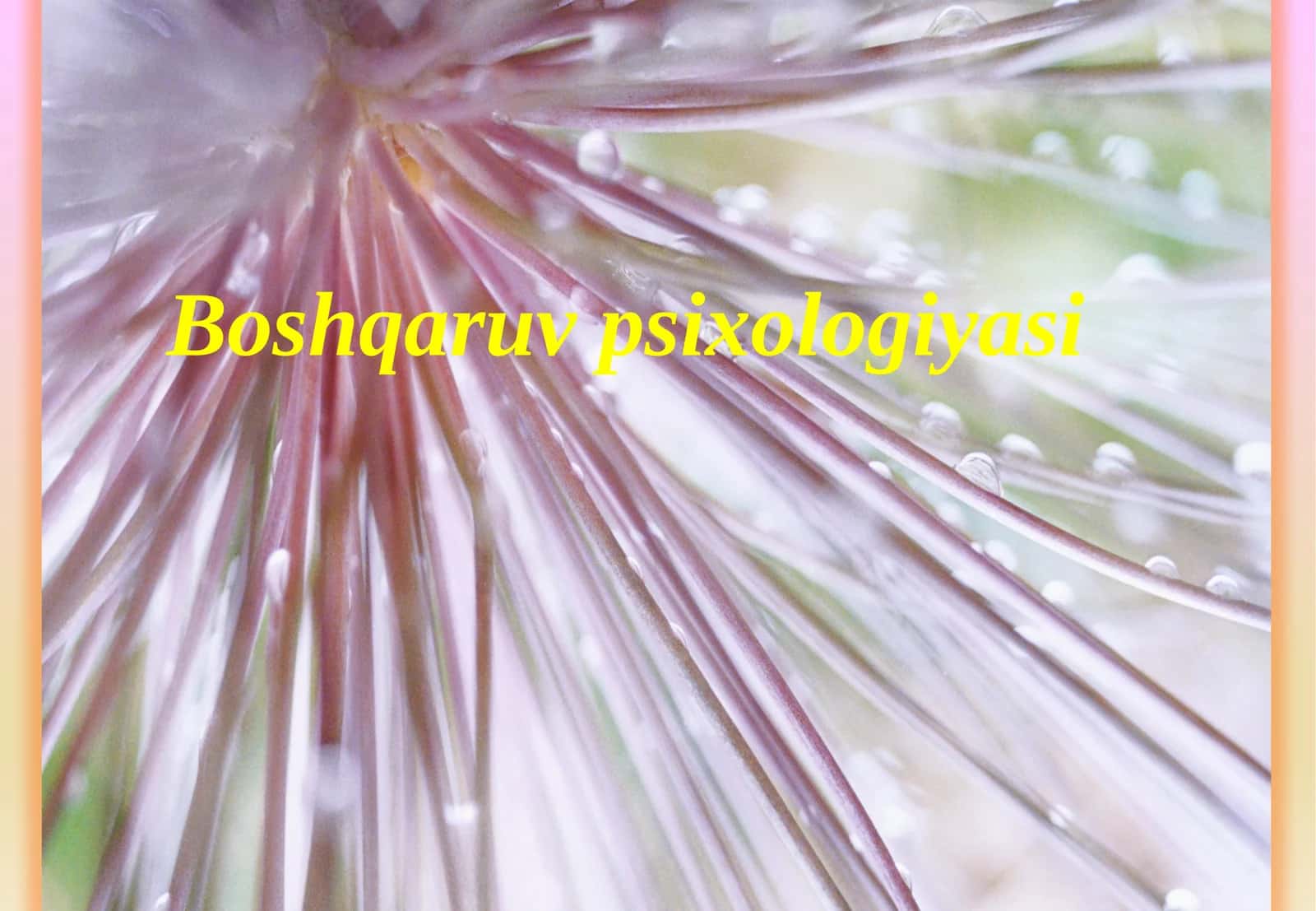 Boshqaruvpsixologiyasi 1