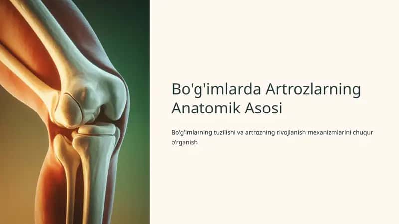 Bo'g'imlarda Artrozlarning Anatomik Asosi 1