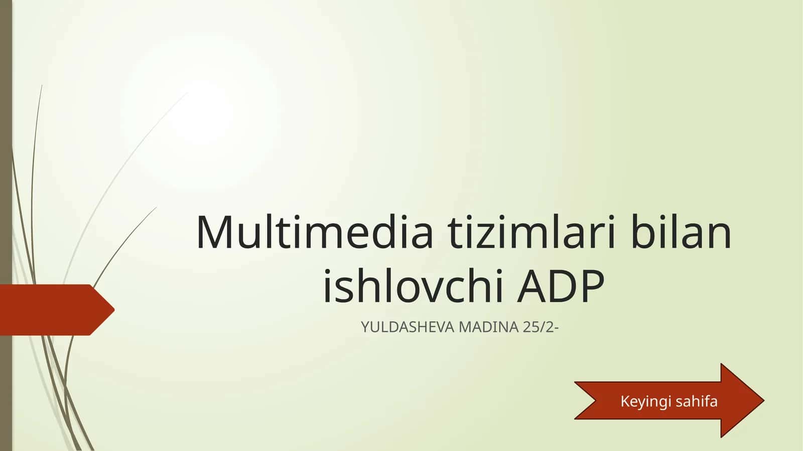 Multimedia tizimlari bilan ishlovchi ADP 1