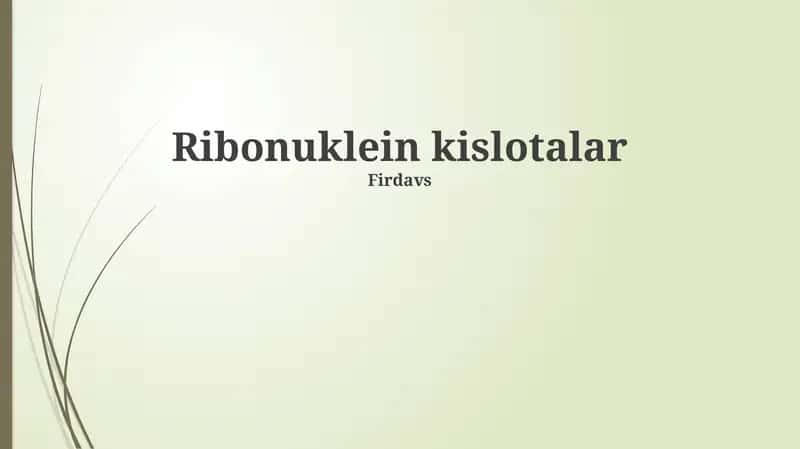 Ribonuklein kislotalar 1