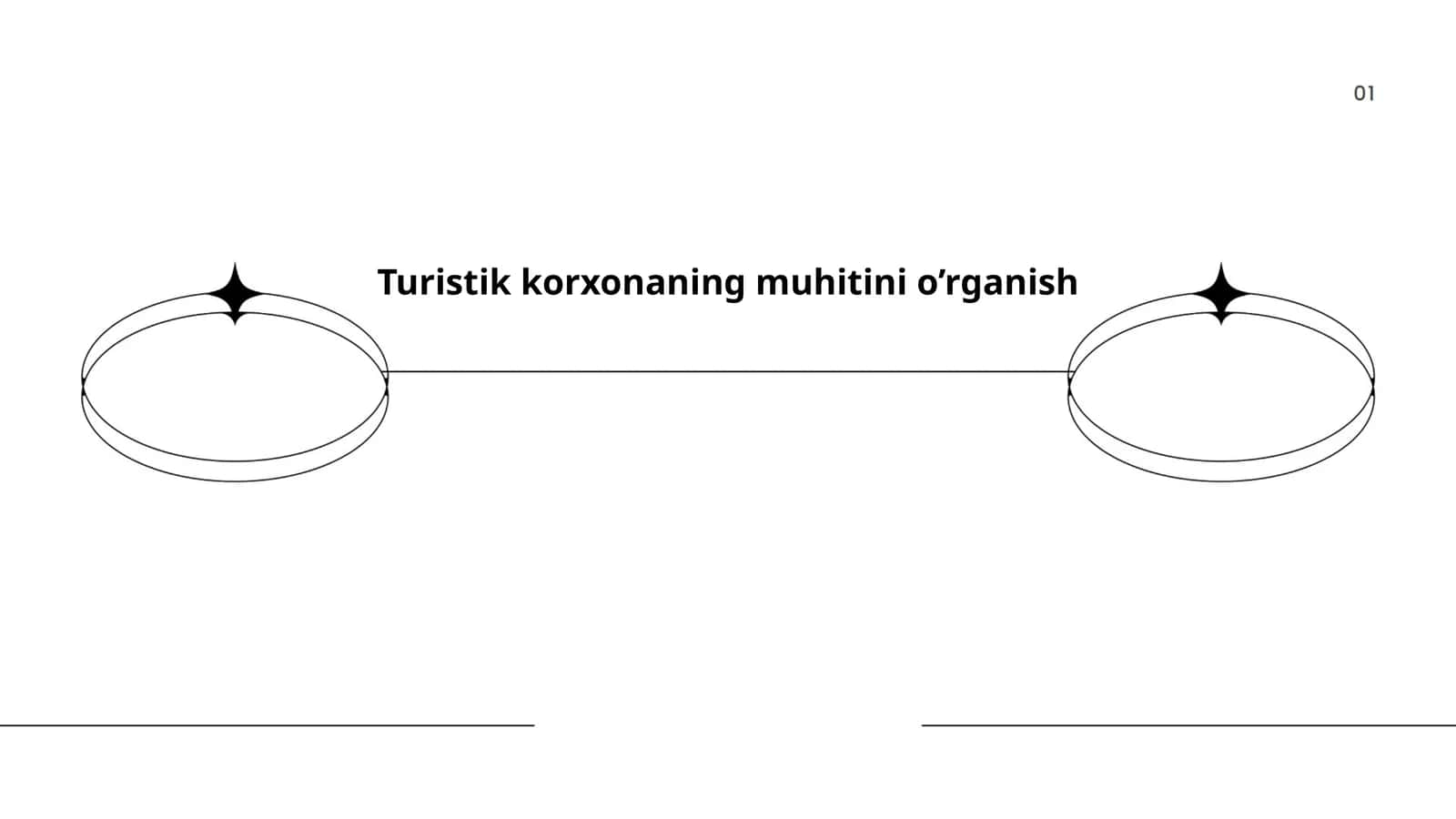 Turistik korxonaning muhitini o'rganish 1