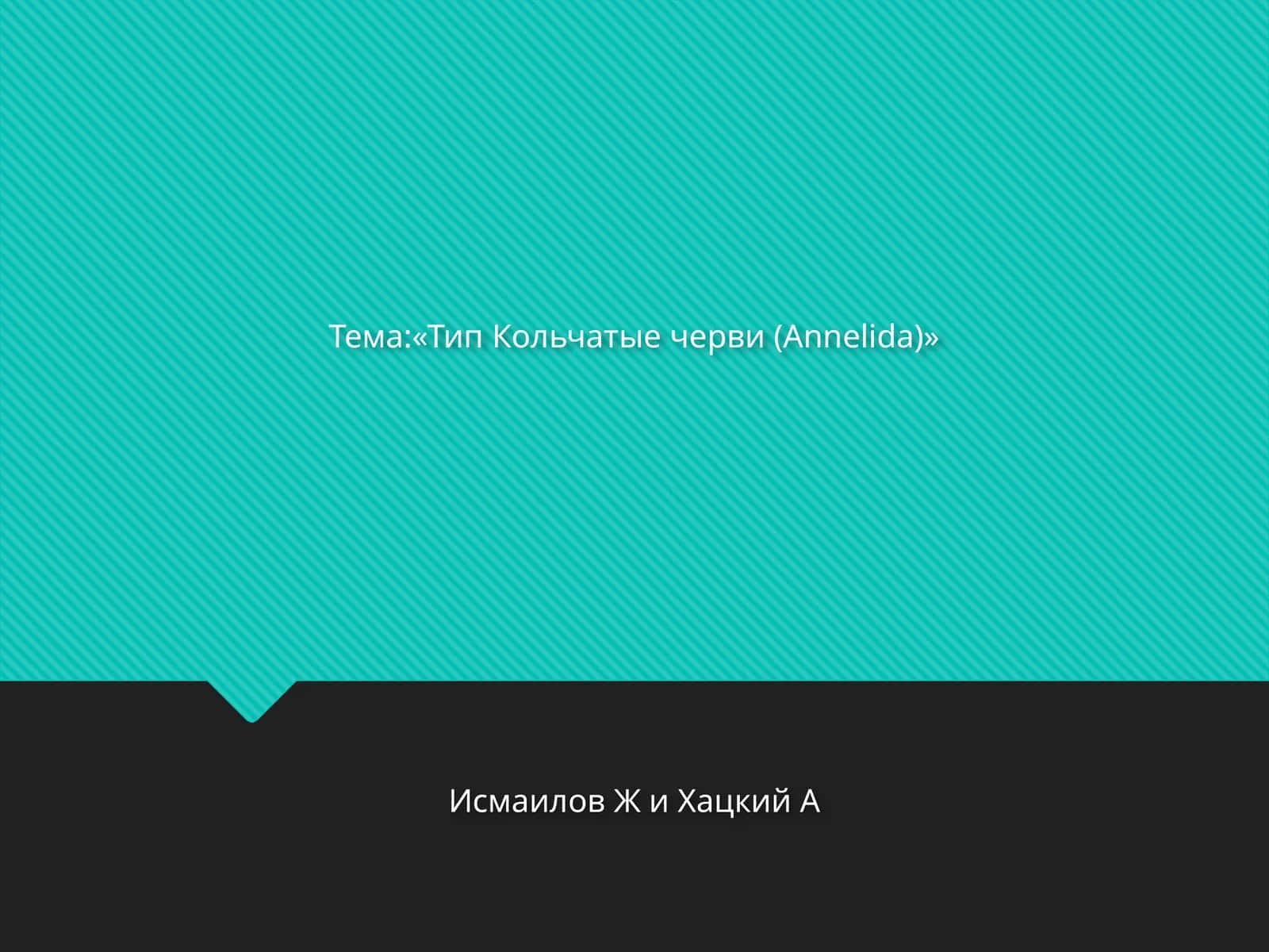 Тип Кольчатые черви (Annelida) 1