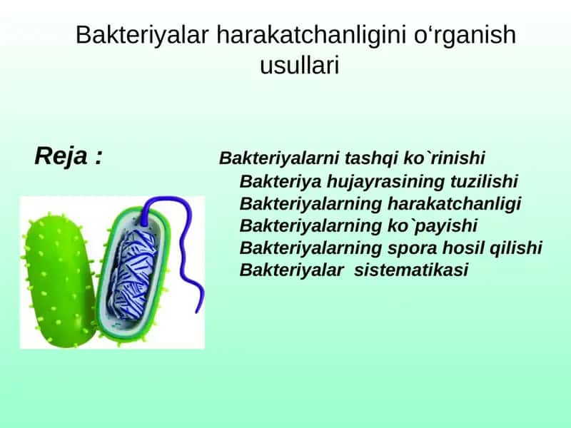 Bakteriyalar harakatchanligini o‘rganish usullari 1