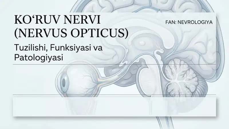 Koʻruv nervi tuzilishi funksiyasi va patalogiyasi 1