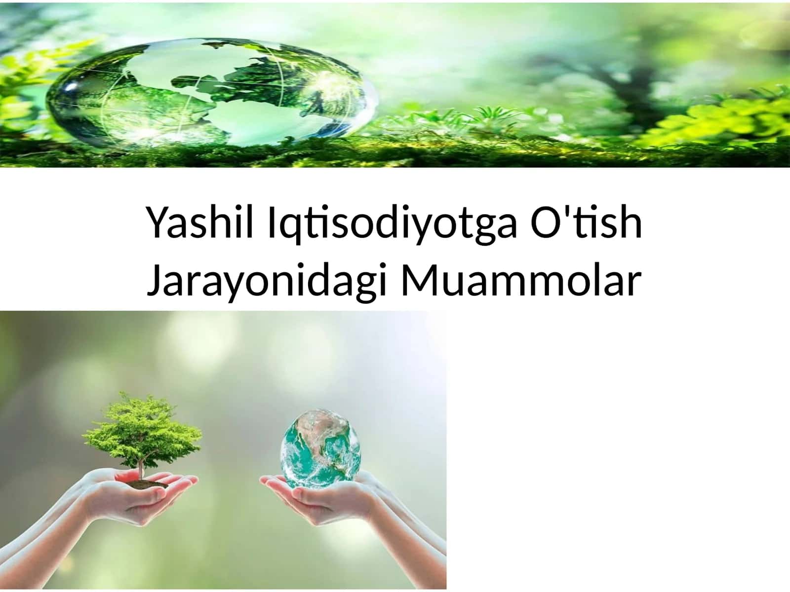 Yashil Iqtisodiyotga O'tish Jarayonidagi Muammolar 1