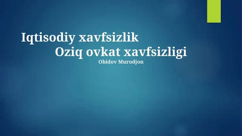 Iqtisodiy Xavfsizlik 1