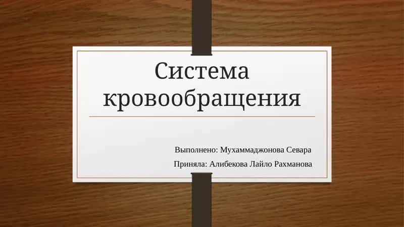 Система кровообращения 1