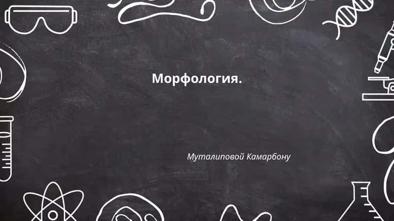 Морфология. Муталиповой Камарбону 1