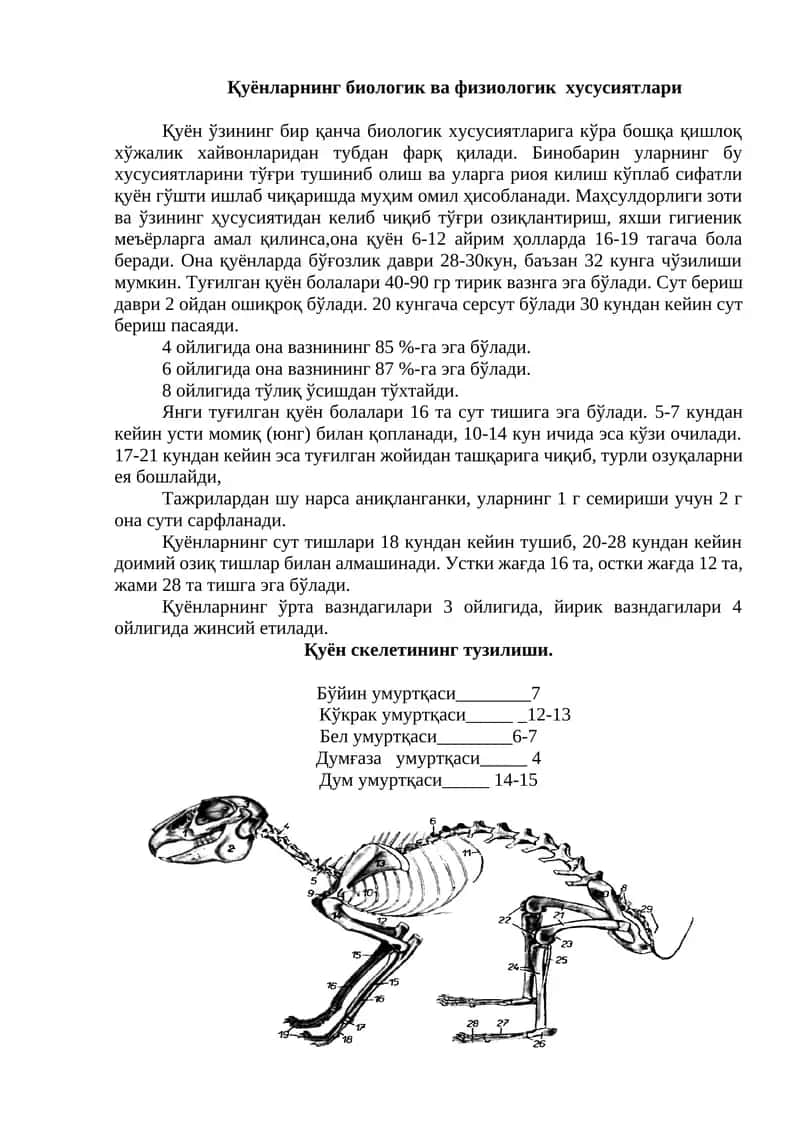 Қуёнларнинг биологик ва физиологик хусусиятлари 1