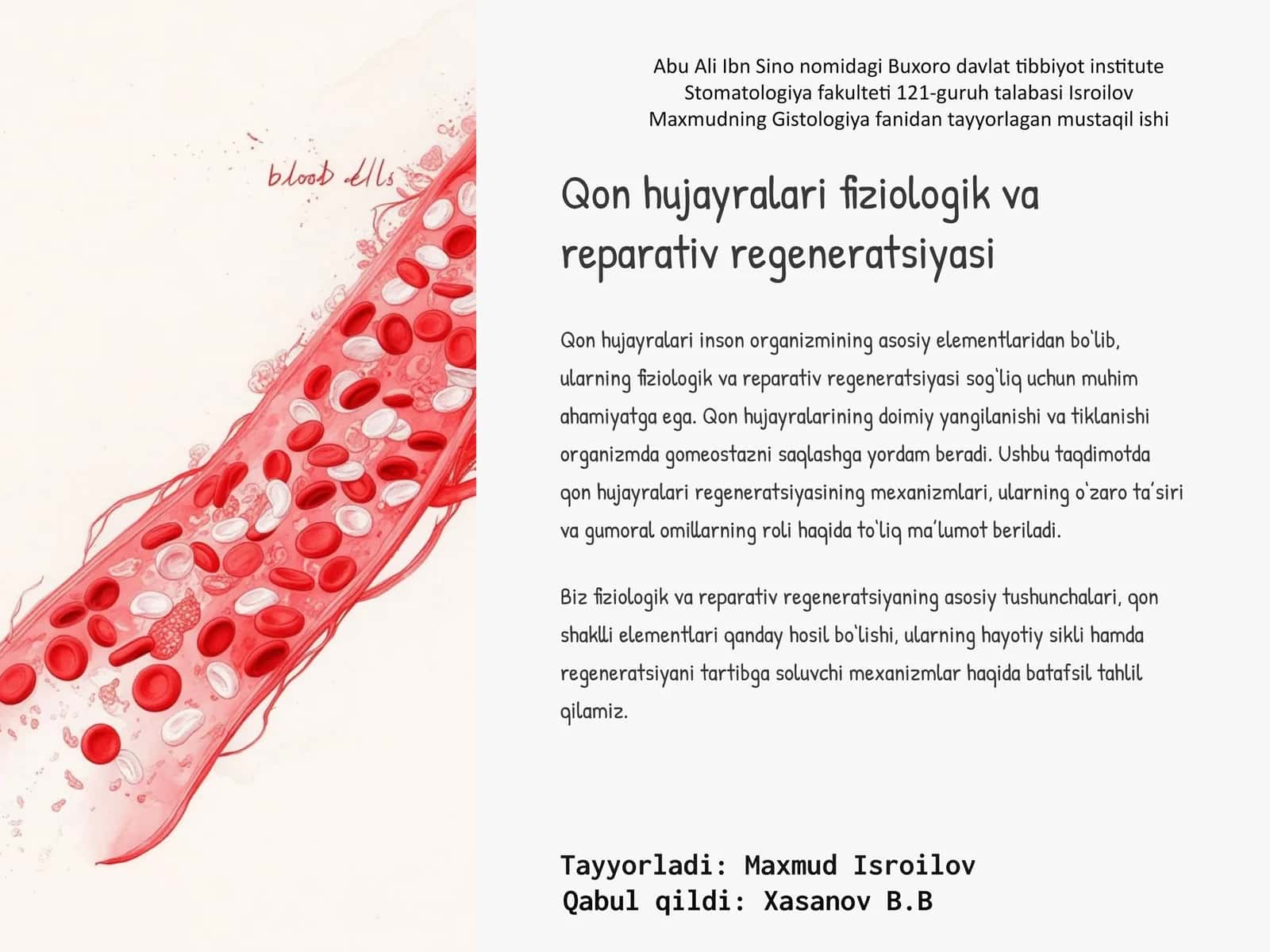 Qon hujayralari fiziologik va reparativ regeneratsiyasi 1