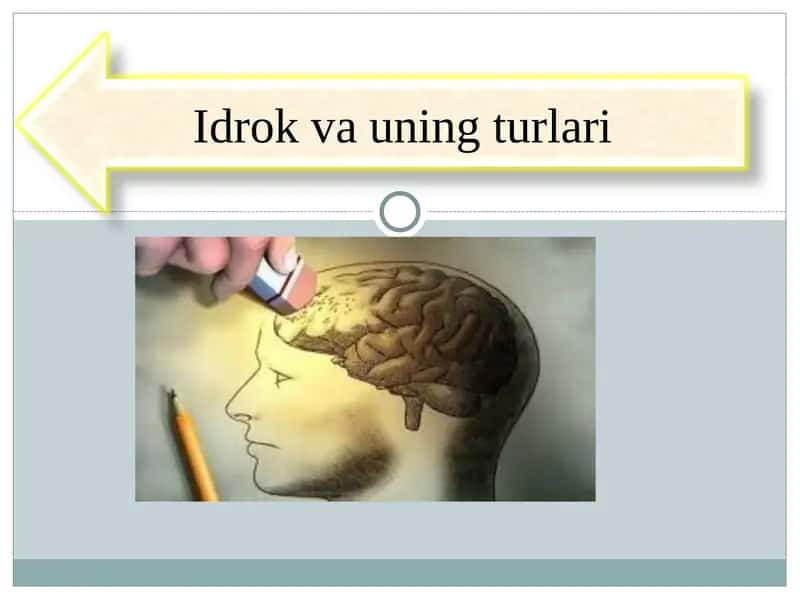 Idrok va uning turlari 1