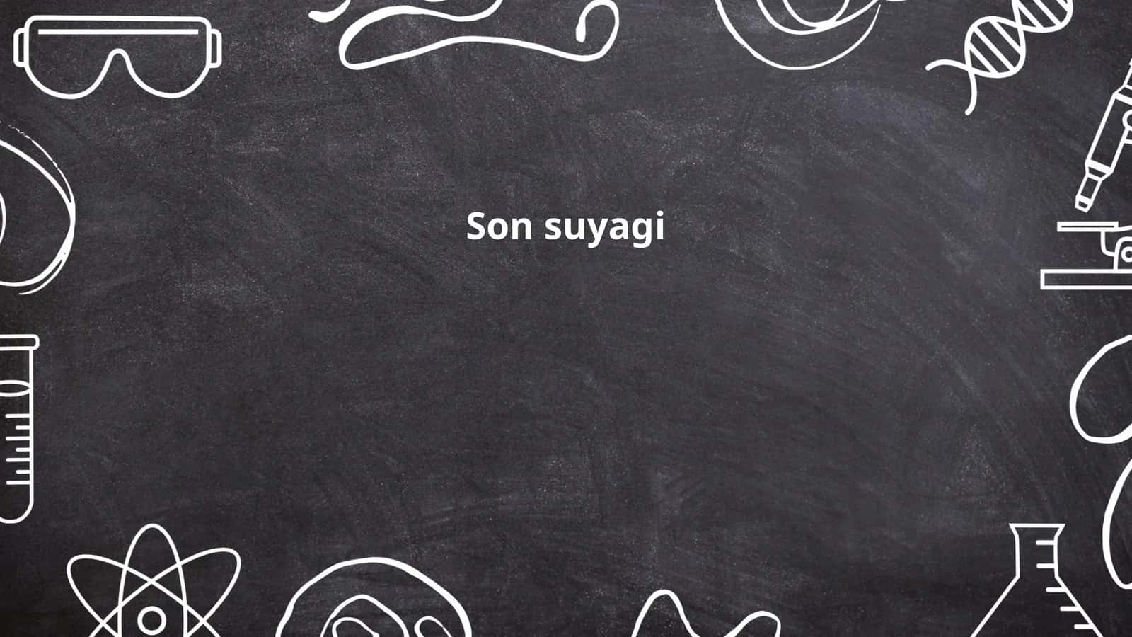 Son suyagi 1
