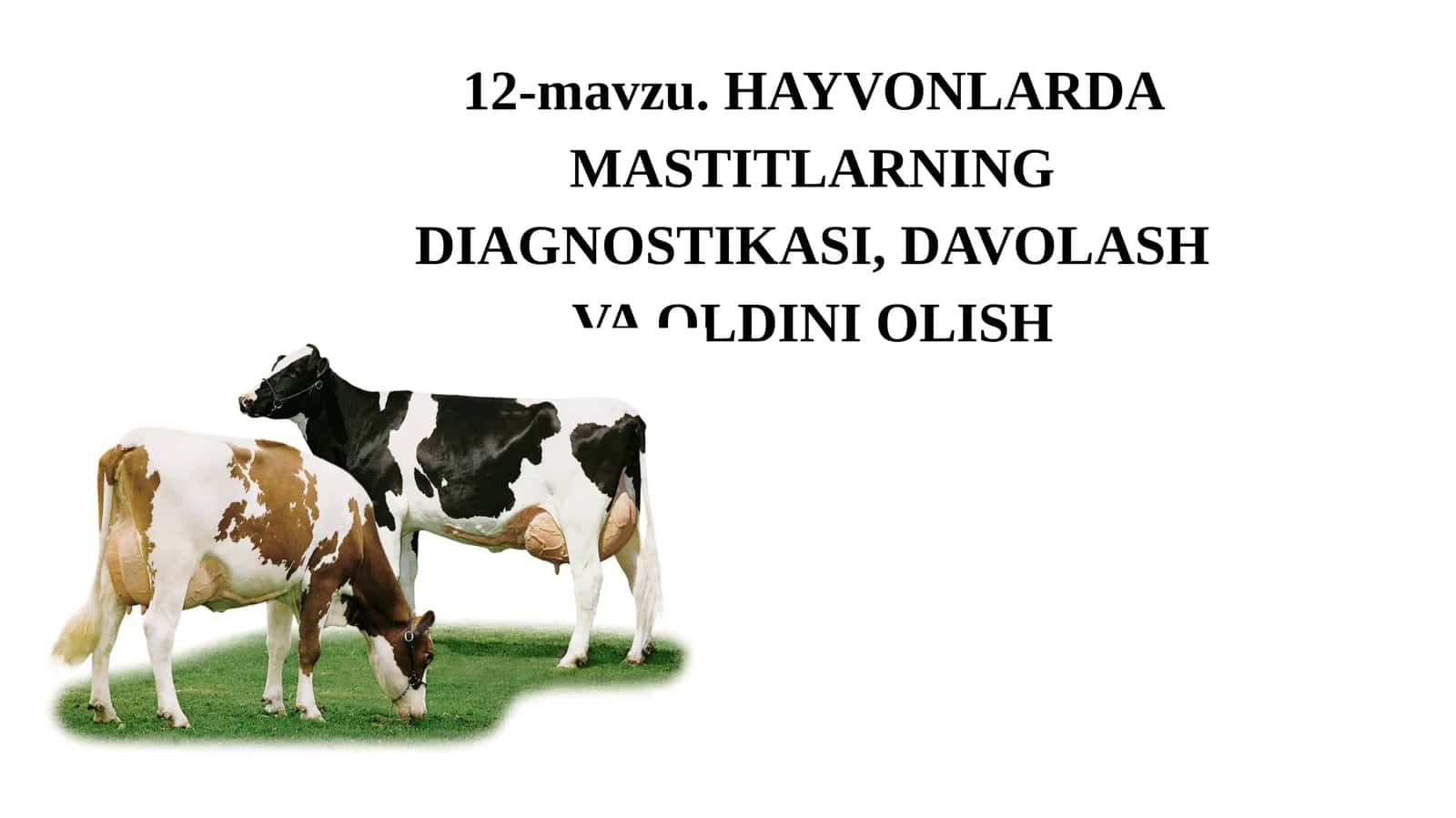 HAYVONLARDA MASTITLARNING DIAGNOSTIKASI, DAVOLASH VA OLDINI OLISH 1