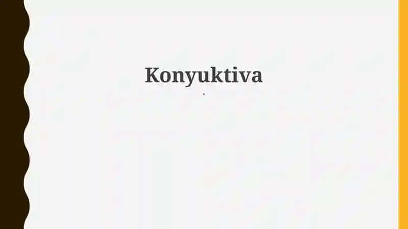 Kon'yunktiva