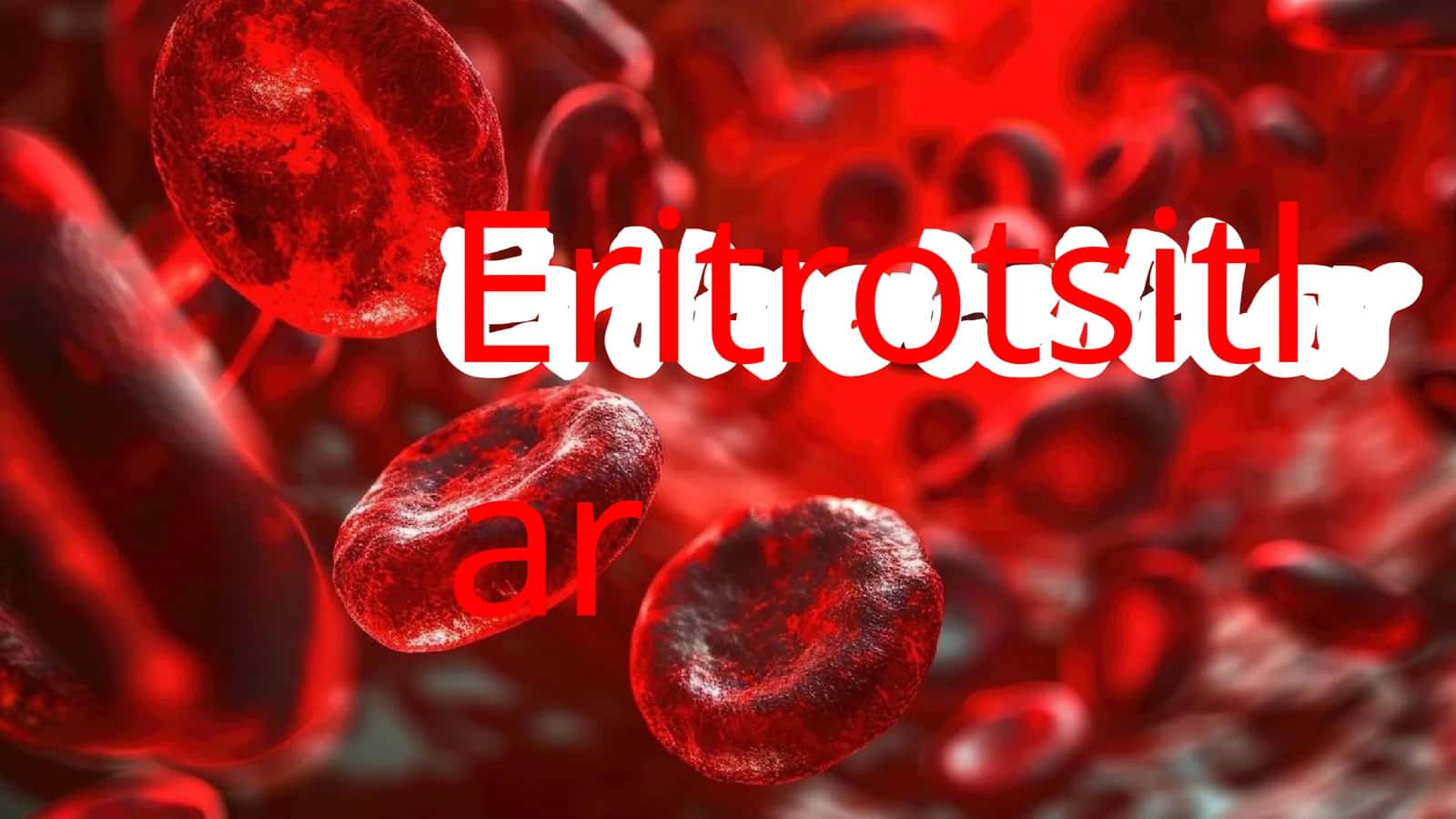 Eritrotsitlar 1