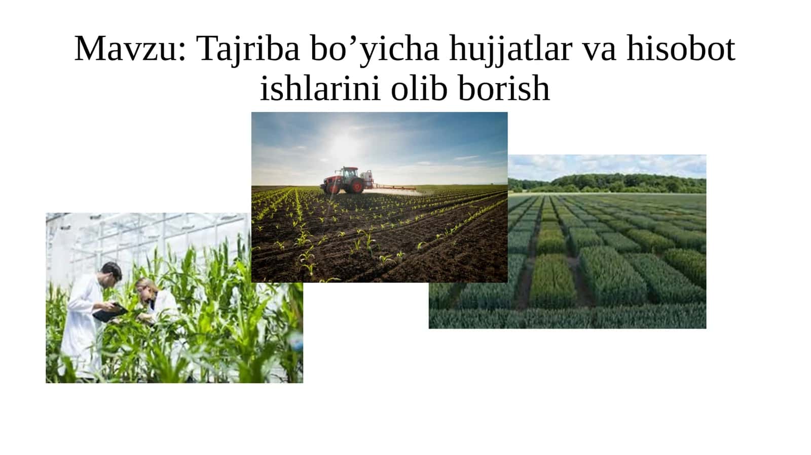 Tajribabo’yichahujjatlarvahisobotishlariniolibborish 1