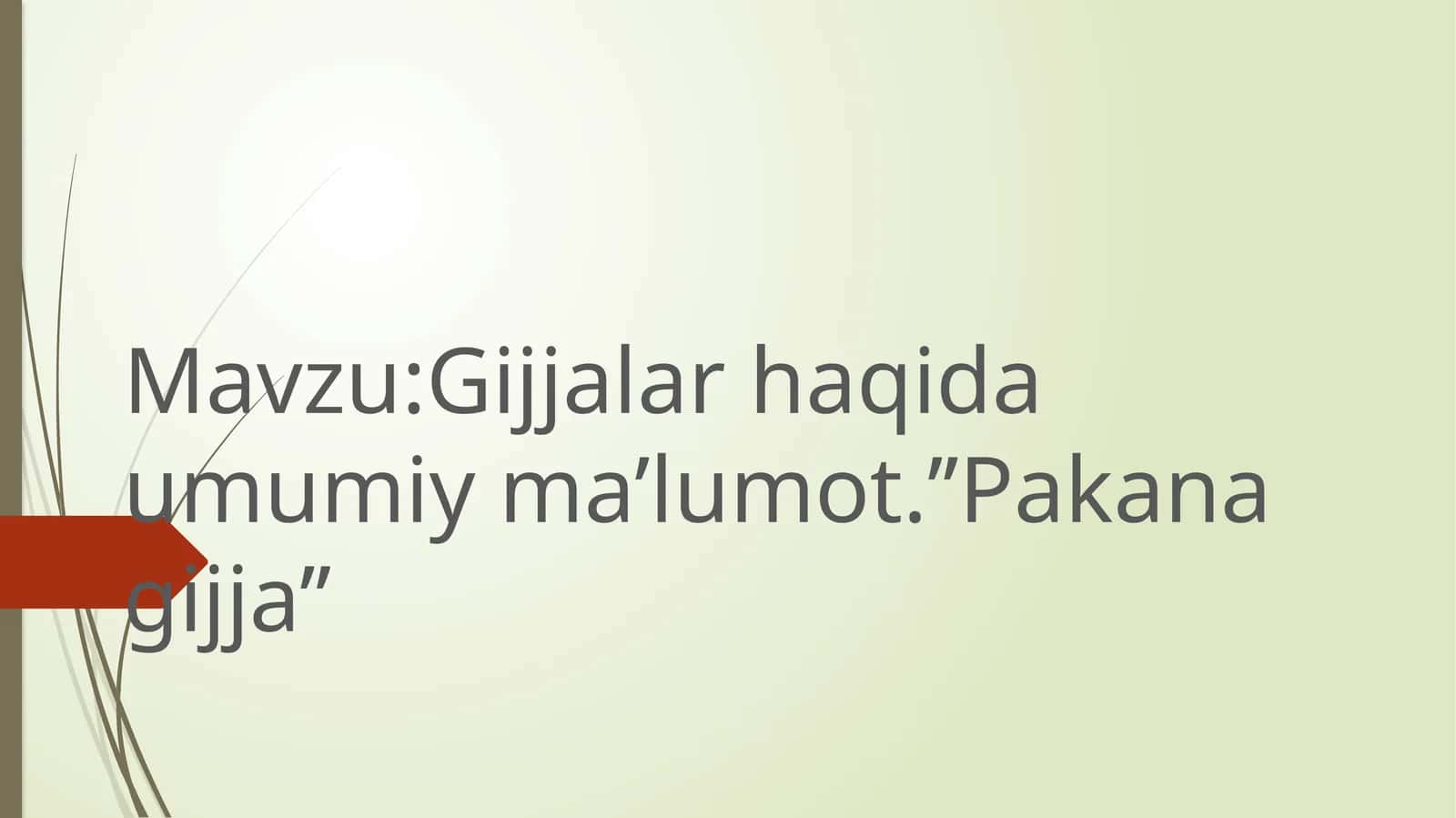 Gijjalar haqida umumiy ma’lumot.’’Pakana gijja’’ 1